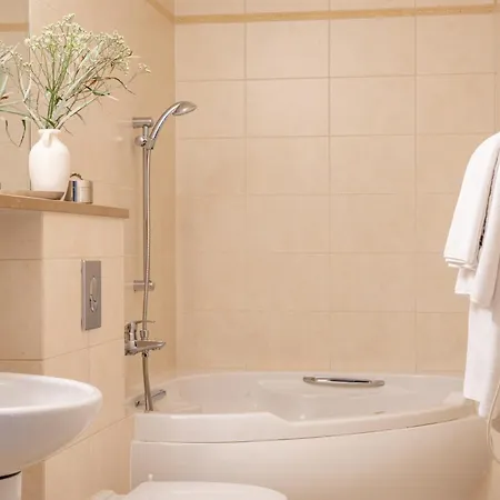 Hotel Czarny Potok Wellness & Centrum 3*