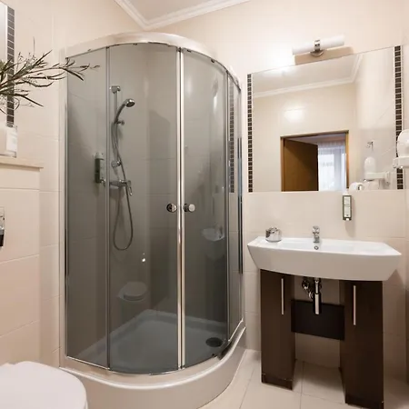 Czarny Potok Wellness & Centrum זקופאנה