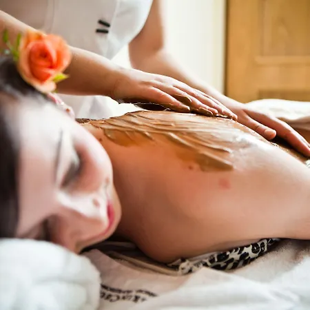 Czarny Potok Wellness & Centrum Zakopane