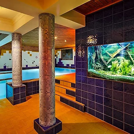 Ξενοδοχείο Czarny Potok Wellness & Centrum
