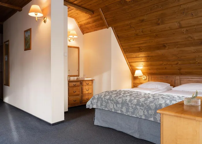 מלון Czarny Potok Wellness & Centrum 3*