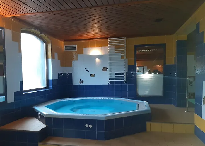 Czarny Potok Wellness & Centrum מלון זקופאנה