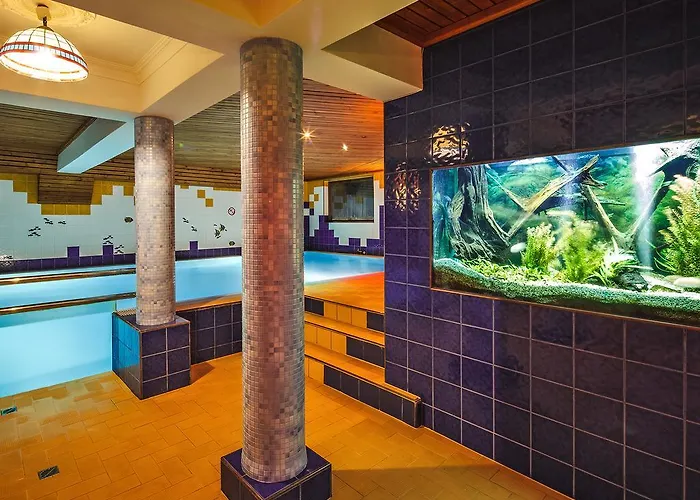 Czarny Potok Wellness & Centrum Hotel